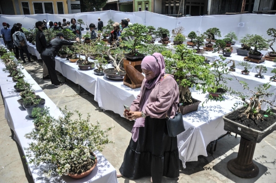 Mengunjungi Pameran Bonsai di Depok