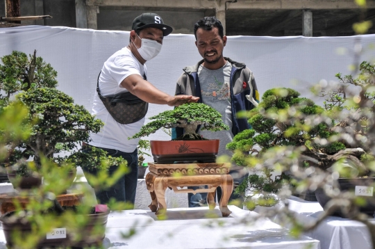 Mengunjungi Pameran Bonsai di Depok