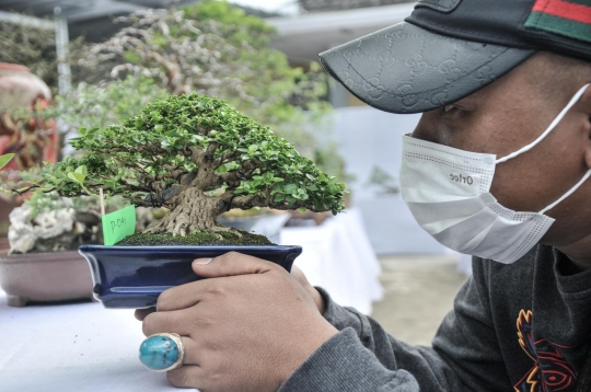 Mengunjungi Pameran Bonsai di Depok