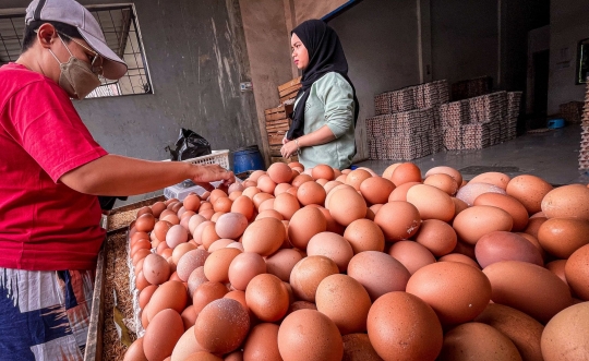 Harga Telur Kembali Naik