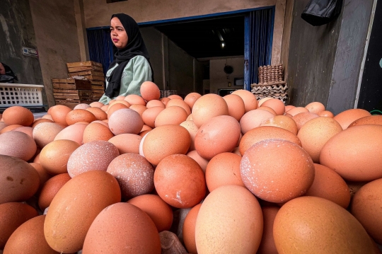 Harga Telur Kembali Naik