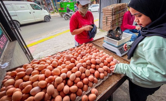 Harga Telur Kembali Naik