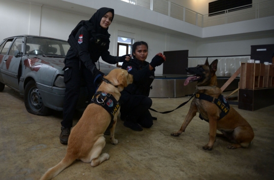 Wanita-Wanita Tangguh Pelatih Anjing di Markas Komando K9 BNN