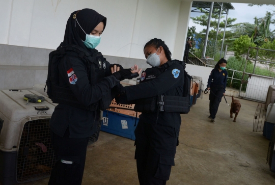 Wanita-Wanita Tangguh Pelatih Anjing di Markas Komando K9 BNN