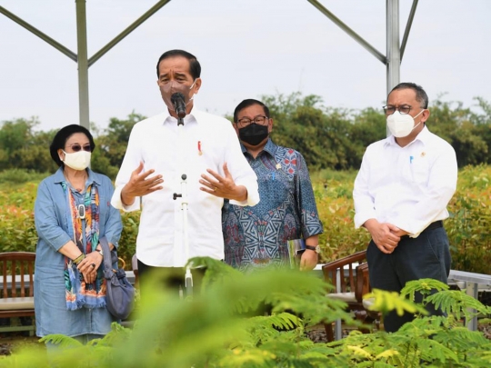 Momen Jokowi Sopiri Megawati Saat Tinjau Persemaian Modern di Bogor