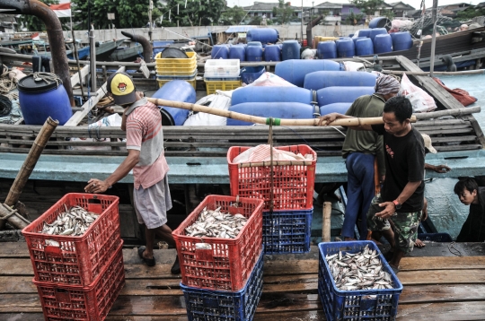 Harga Ikan Mulai Naik Jelang Ramadan