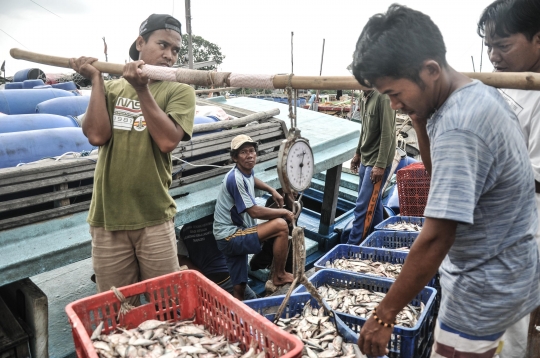 Harga Ikan Mulai Naik Jelang Ramadan