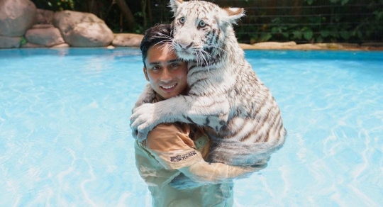 Potret Alshad Ahmad Berenang Bareng Harimau, Komentar Tiara Andini Jadi Sorotan