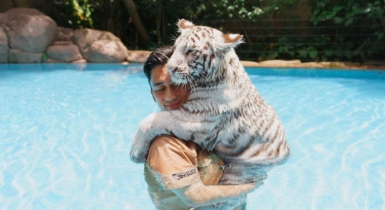 Potret Alshad Ahmad Berenang Bareng Harimau, Komentar Tiara Andini Jadi Sorotan