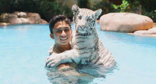 Potret Alshad Ahmad Berenang Bareng Harimau, Komentar Tiara Andini Jadi Sorotan