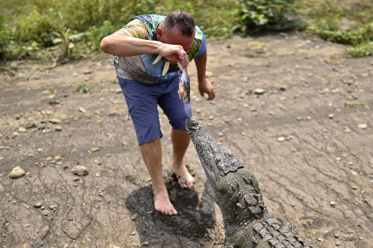 Geliat Wisata Buaya di Sungai Tarcoles