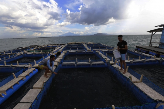Mengejar Target 18,77 Juta Ton Ikan Budidaya