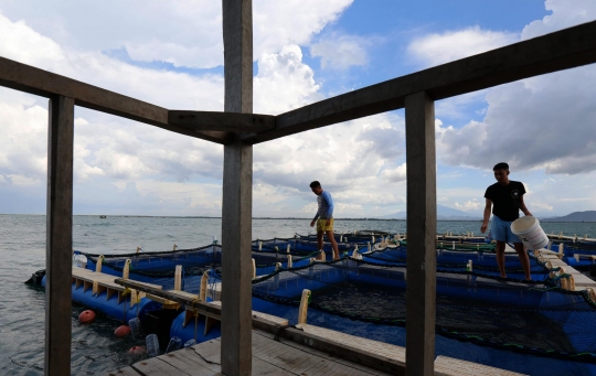 Mengejar Target 18,77 Juta Ton Ikan Budidaya