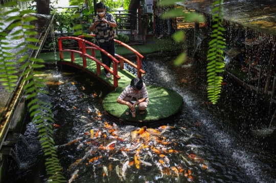 Sensasi Unik Makan di Restoran Bertema Ikan