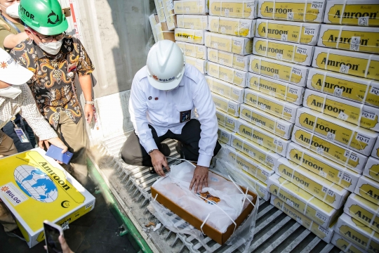 Jelang Lebaran, Bulog Datangkan 36.000 Ton Daging Kerbau dari India