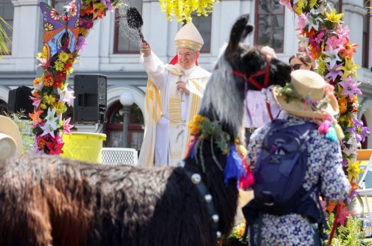 Penampilan Para Hewan Mengikuti Upacara Pemberkatan di California