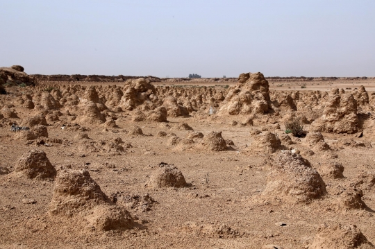 Meratapi Danau di Irak Mati karena Perubahan Iklim