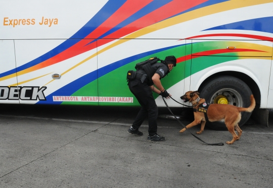 Antisipasi Peredaran Narkoba, Anjing Pelacak K9 Periksa Barang Pemudik