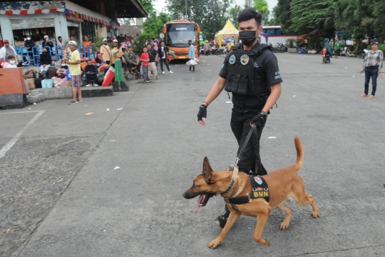 Antisipasi Peredaran Narkoba, Anjing Pelacak K9 Periksa Barang Pemudik