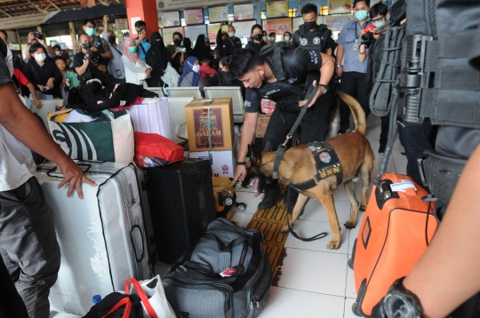 Antisipasi Peredaran Narkoba, Anjing Pelacak K9 Periksa Barang Pemudik