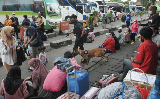 Antisipasi Peredaran Narkoba, Anjing Pelacak K9 Periksa Barang Pemudik