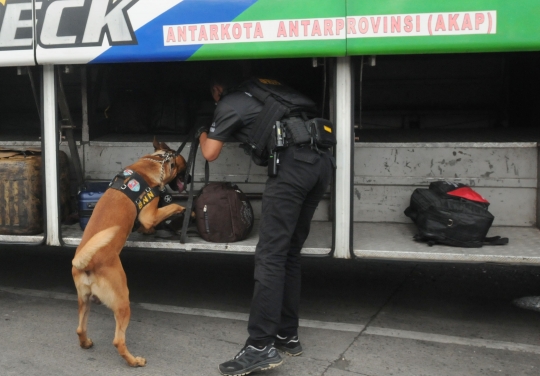 Antisipasi Peredaran Narkoba, Anjing Pelacak K9 Periksa Barang Pemudik