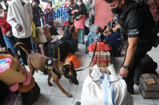 Antisipasi Peredaran Narkoba, Anjing Pelacak K9 Periksa Barang Pemudik