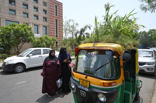 Cara Unik Sopir Bajaj di India Menjaga Penumpangnya Agar Tetap Sejuk