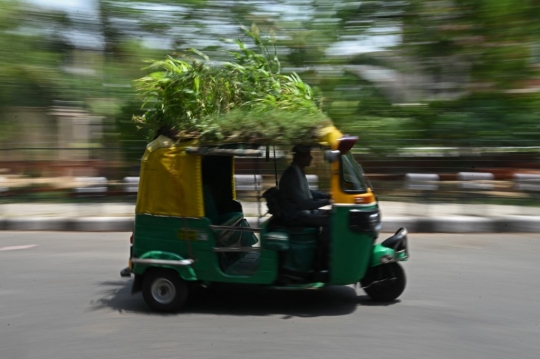 Cara Unik Sopir Bajaj di India Menjaga Penumpangnya Agar Tetap Sejuk