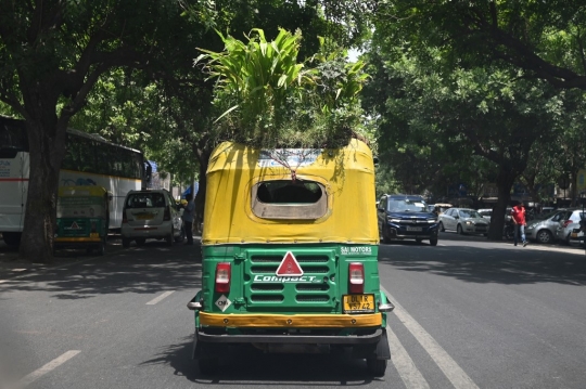 Cara Unik Sopir Bajaj di India Menjaga Penumpangnya Agar Tetap Sejuk