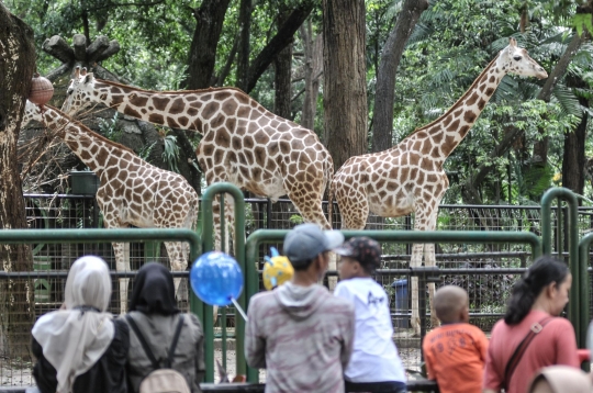 Mengisi Libur Lebaran di Taman Margasatwa Ragunan