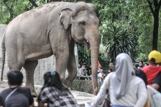 Mengisi Libur Lebaran di Taman Margasatwa Ragunan