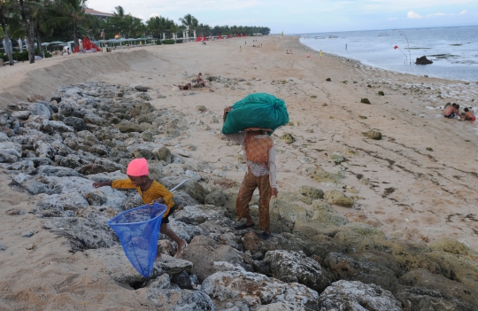 Kehidupan Pengumpul Rumput Laut yang Masih Bertahan di Nusa Dua Bali