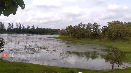 Ada di Tengah Hutan, ini Potret Kampung Lokalisasi Tersembunyi di Grobogan Jateng