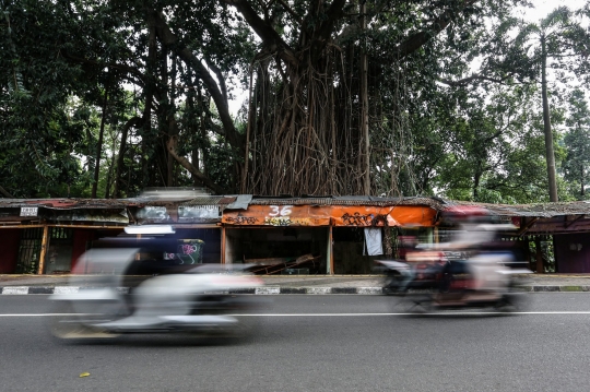 Kondisi Pasar Burung Barito Setelah Dibongkar untuk Direnovasi