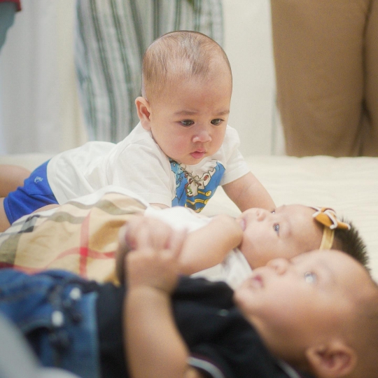 Bayi-bayi Gemas, Deretan Foto Kebersamaan Rayyanza, Baby L dan Ameena Lucu Banget