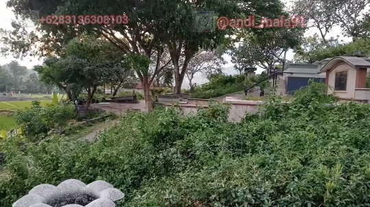 TPU China Jadi Lokalisasi PSK Seharga Kacang Goreng, Ini Potret Lokasinya