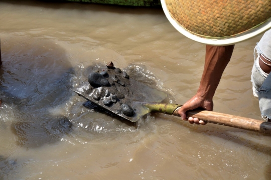 Potret Penambang Pasir Tradisional di Sungai Klawing