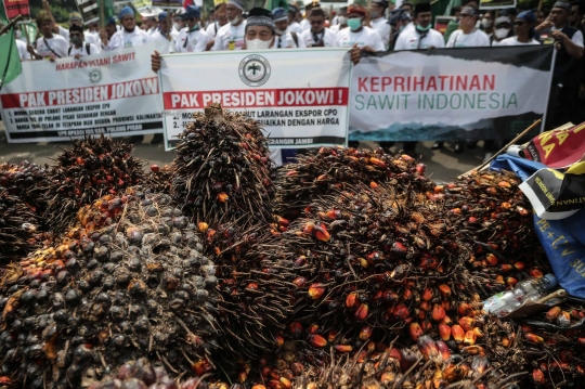 Aksi Petani Sawit Protes Larangan Ekspor Minyak Goreng dan CPO