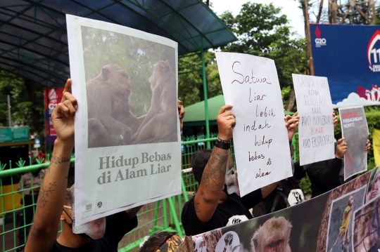 Aksi Tolak Perdagangan Monyet Ekor Panjang