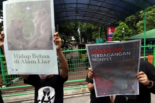 Aksi Tolak Perdagangan Monyet Ekor Panjang