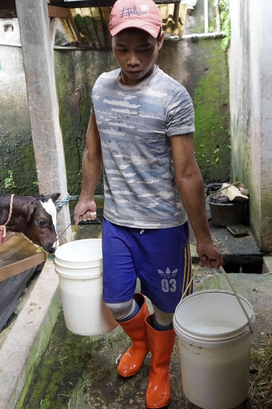 Wabah Penyakit Kuku dan Mulut Tak Pengaruhi Penjualan Susu Sapi Perah