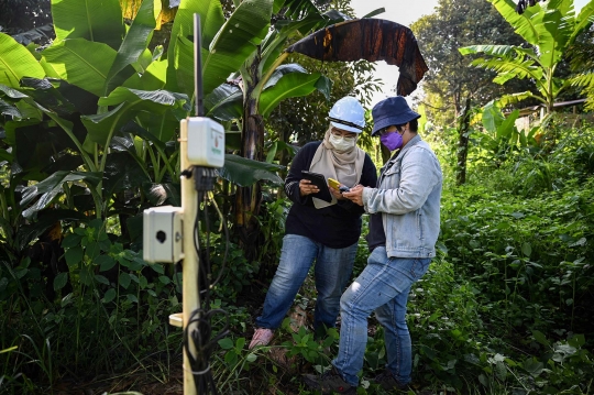 Perkebunan Durian Malaysia Manfaatkan Teknologi untuk Tingkatkan Hasil Panen