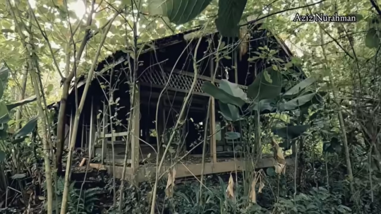 Potret Rumah Mewah Ahmad Dhani di Tengah Hutan Terbengkalai Sejak 2015
