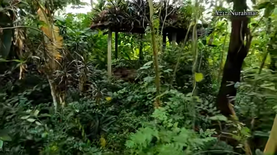 Potret Rumah Mewah Ahmad Dhani di Tengah Hutan Terbengkalai Sejak 2015