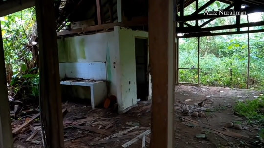 Potret Rumah Mewah Ahmad Dhani di Tengah Hutan Terbengkalai Sejak 2015