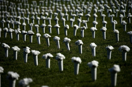 Bunga untuk 45.222 Orang di AS yang Tewas Akibat Kekerasan Senjata Tahun 2020
