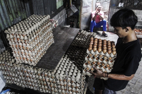 Terus Naik, Harga Telur Ayam Nyaris Tembus Rp30 Ribu per Kg