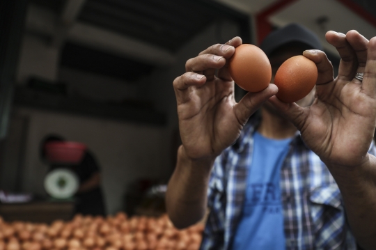 Terus Naik, Harga Telur Ayam Nyaris Tembus Rp30 Ribu per Kg