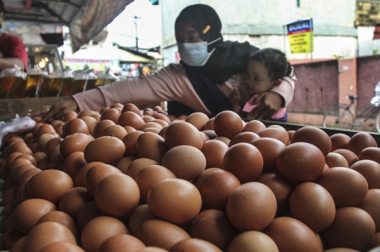 Terus Naik, Harga Telur Ayam Nyaris Tembus Rp30 Ribu per Kg